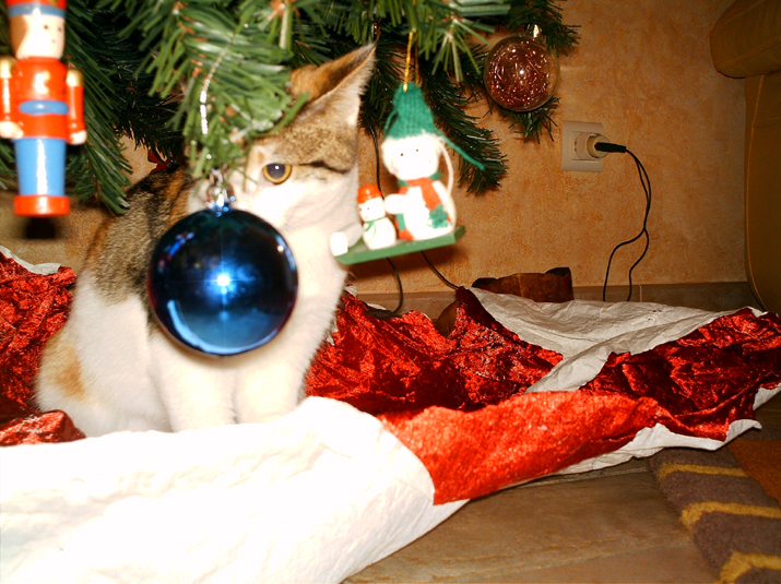 2004-12 noël 026.jpg